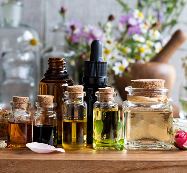 Phytothérapie, pour maintenir son équilibre vital